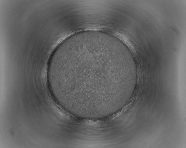 X0000112110346200908251216