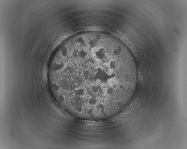 X0000112110347200908251216