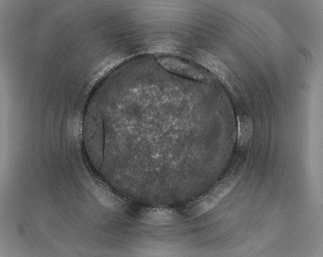 X0000112110348200908251216