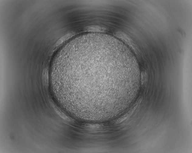 X0000112110349200908251216