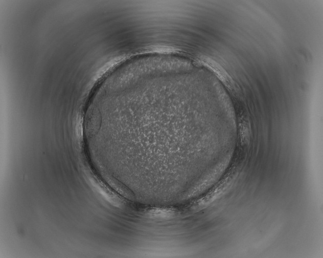 X0000112110350200908251216