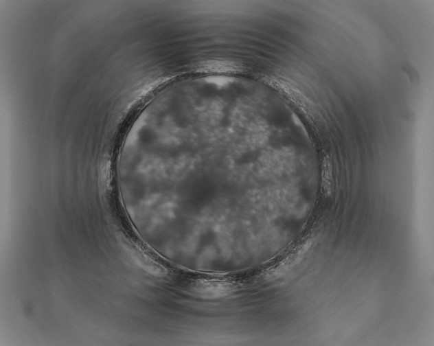 X0000112110351200908251216