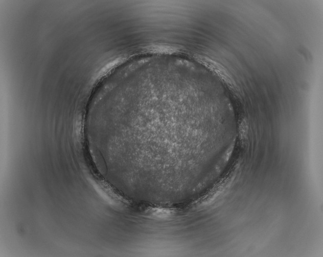 X0000112110352200908251216