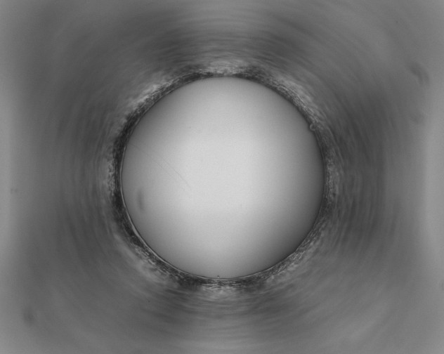 X0000112110354200908251216