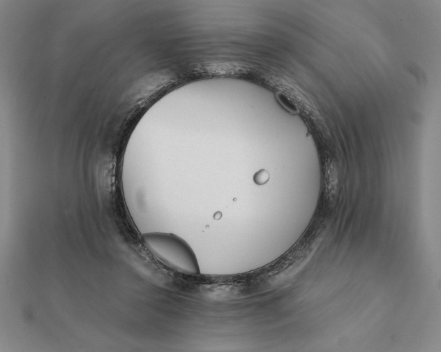 X0000112110356200908251216