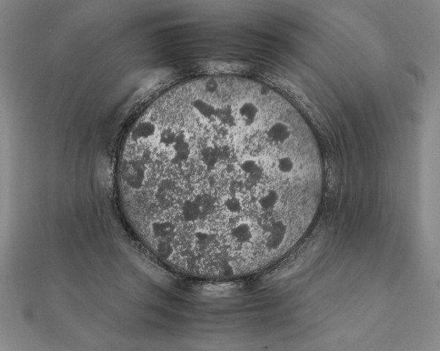 X0000112110357200908251216