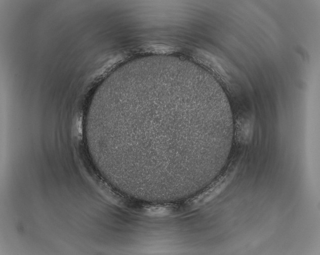 X0000112110358200908251216