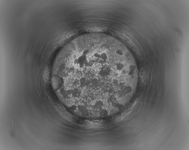 X0000112110359200908251216