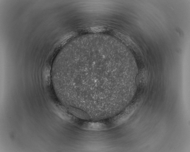 X0000112110360200908251216