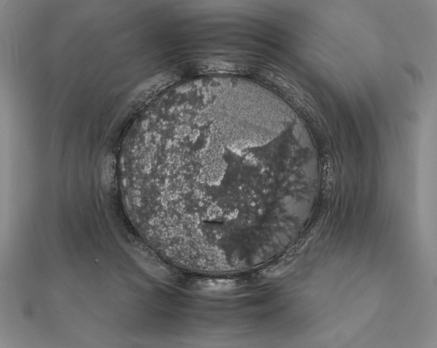 X0000112110361200908251216