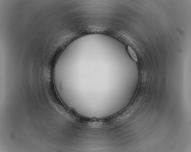 X0000112110362200908251216