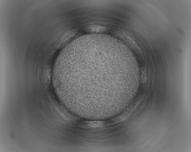 X0000112110363200908251216