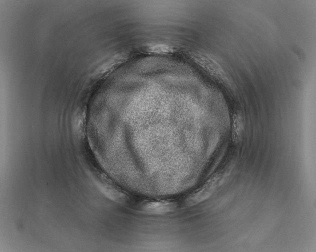 X0000112110364200908251216