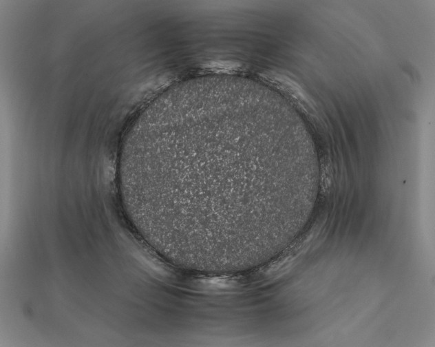 X0000112110365200908251216