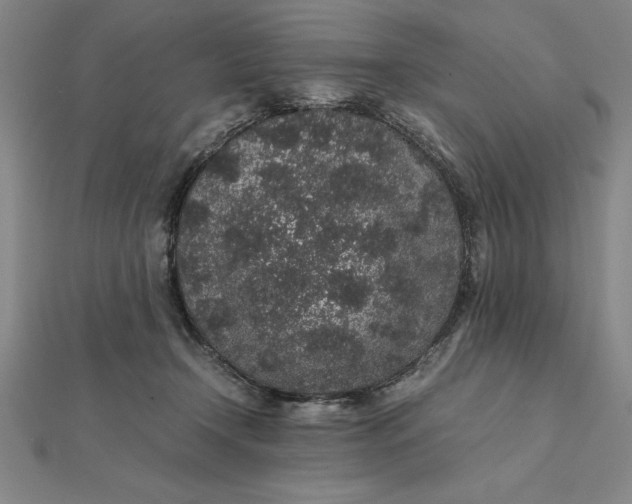 X0000112110366200908251216