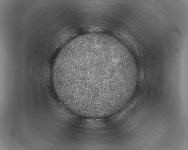 X0000112110367200908251216