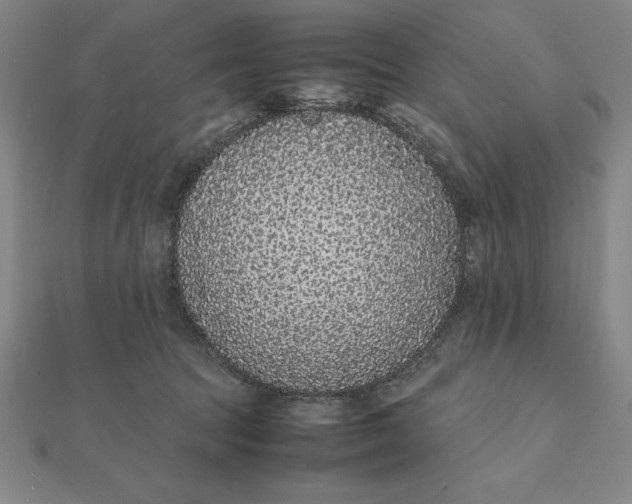 X0000112110369200908251216