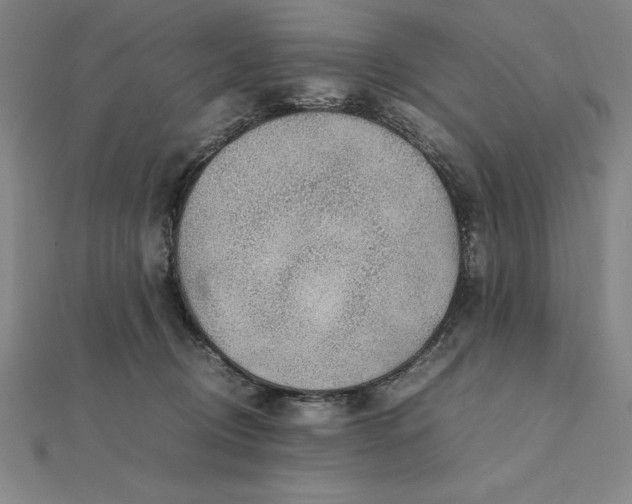 X0000112110370200908251216