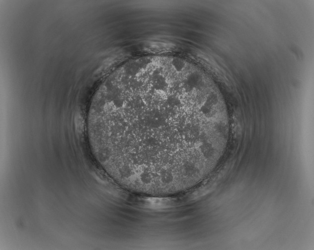 X0000112110371200908251216