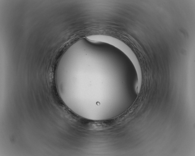 X0000112110372200908251216