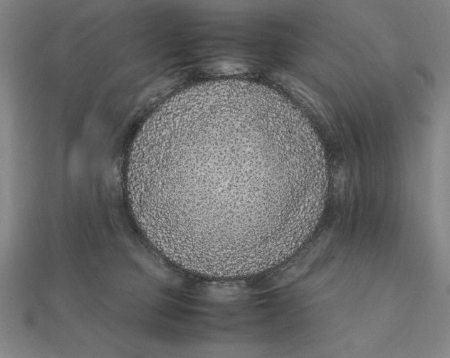 X0000112110373200908251216