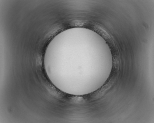 X0000112110374200908251216