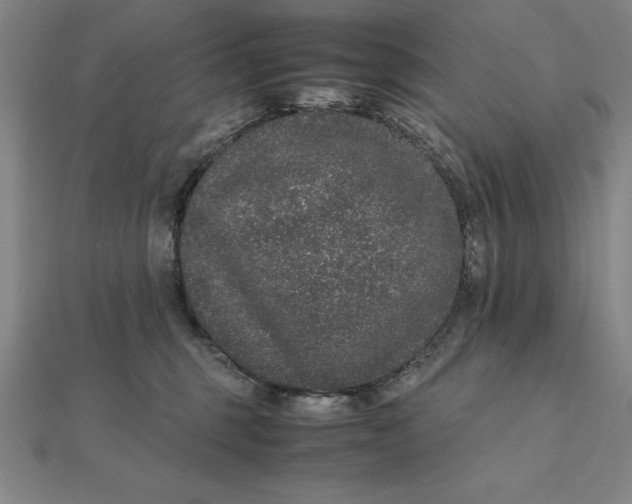 X0000112110375200908251216