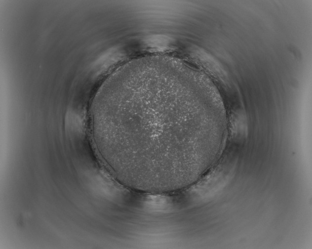 X0000112110376200908251216