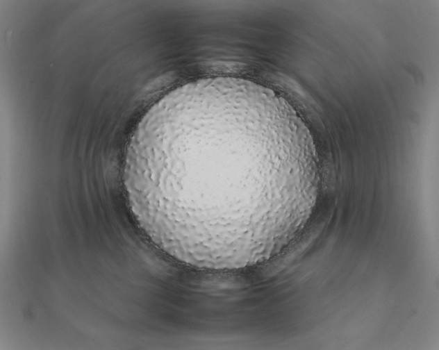 X0000112110377200908251216