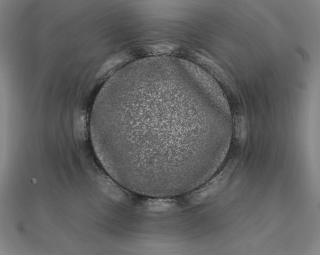 X0000112110378200908251217