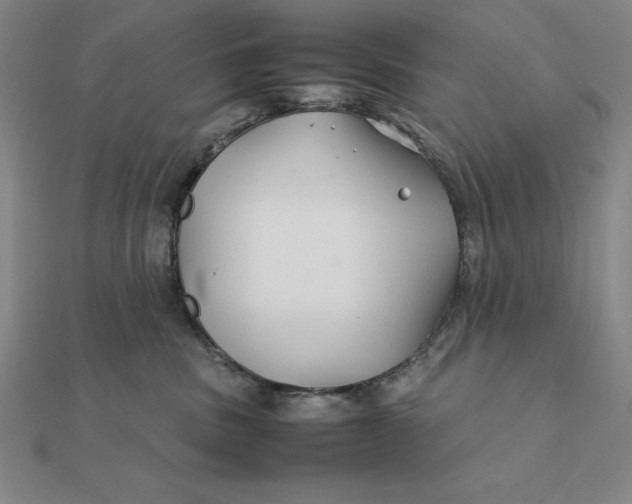 X0000112110379200908251217