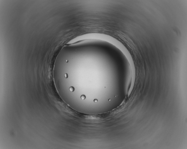 X0000112110380200908251217