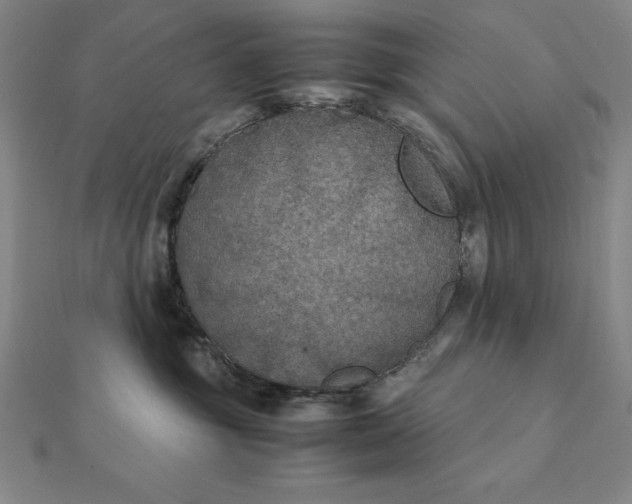 X0000112110381200908251217