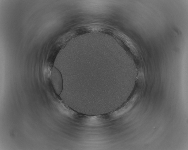 X0000112110382200908251217