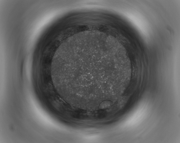 X0000112110383200908251217