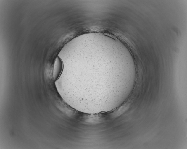 X0000112110384200908251217