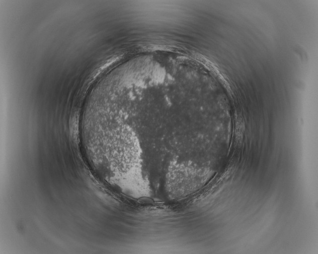 X0000112110386200908251216