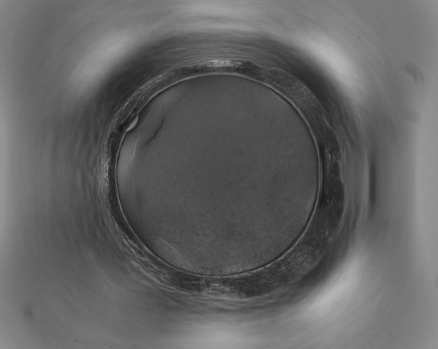 X0000112110387200908251216