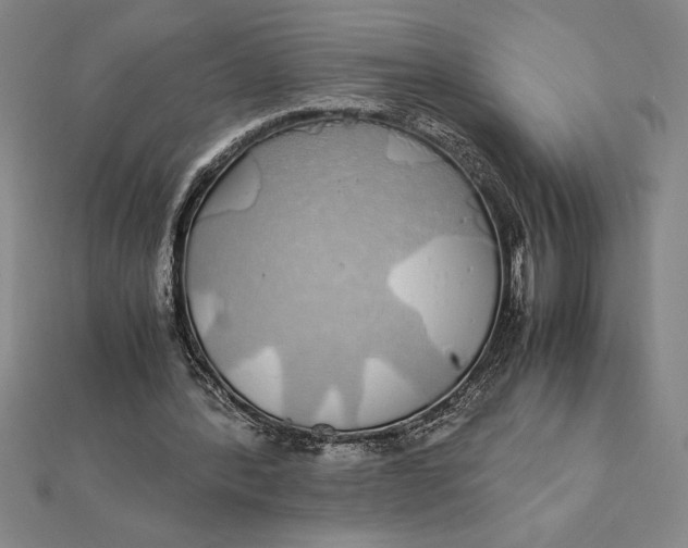 X0000112110388200908251216