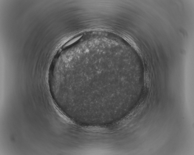 X0000112110389200908251216