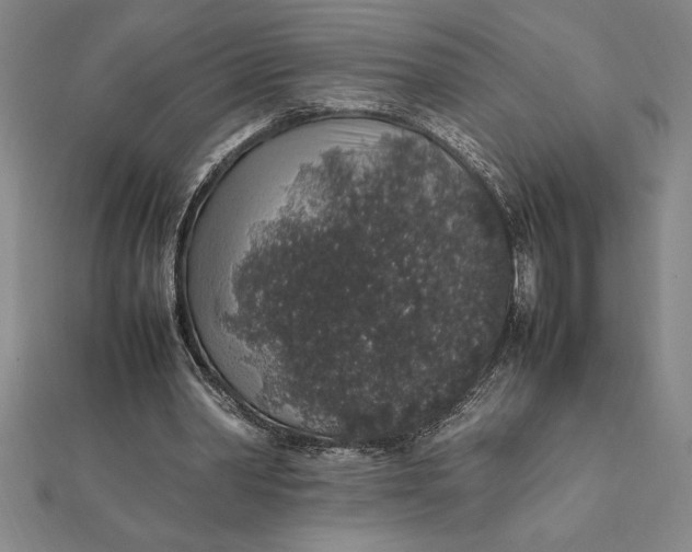 X0000112110390200908251216