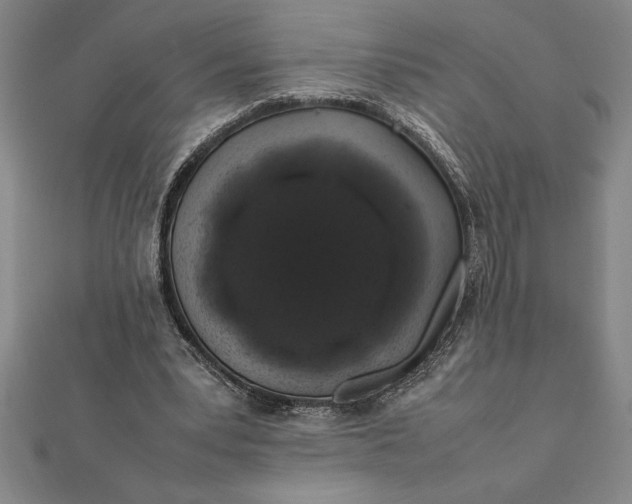 X0000112110391200908251216