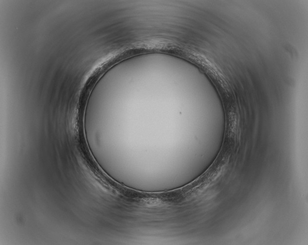 X0000112110392200908251216