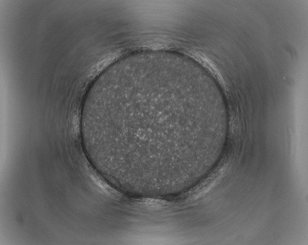 X0000112110393200908251216