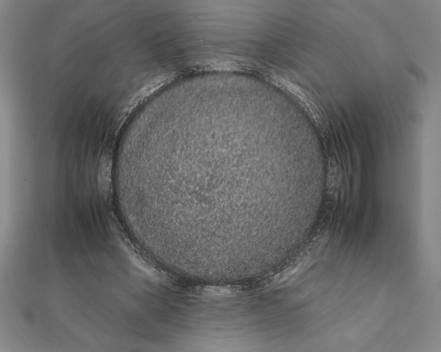 X0000112110394200908251216