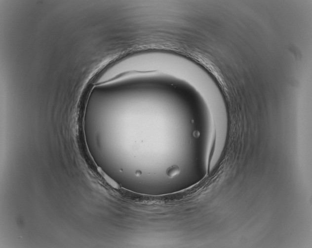 X0000112110395200908251216