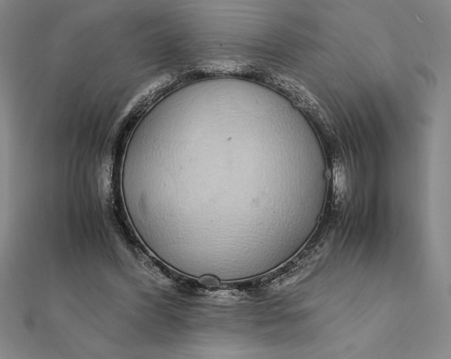 X0000112110396200908251216