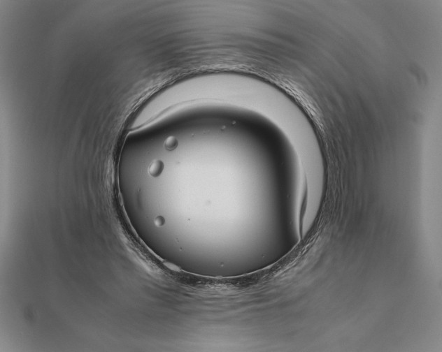 X0000112110397200908251216