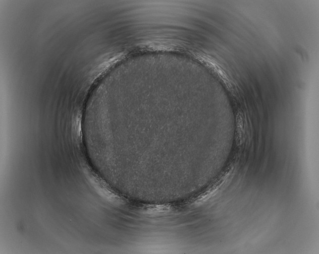 X0000112110398200908251216