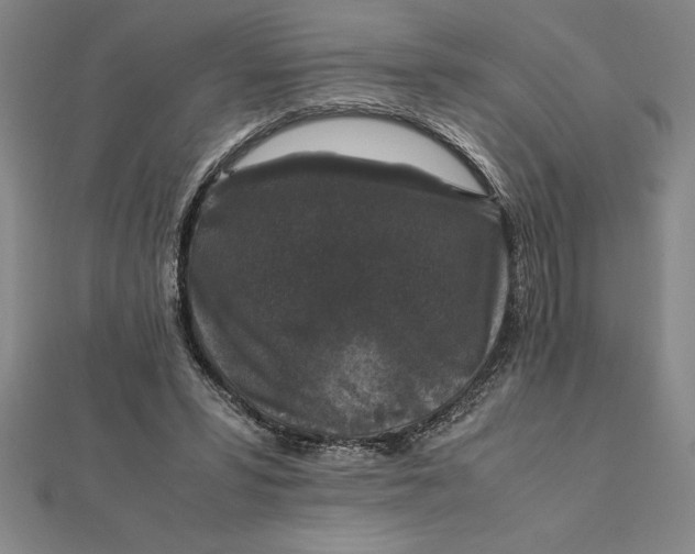 X0000112110399200908251216